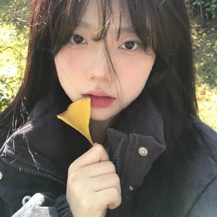 雁回时