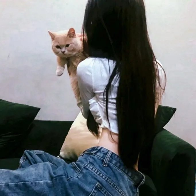 十二猴子第三季